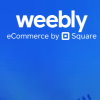 Weebly en el test - Experiencias con el constructor de sitios web
